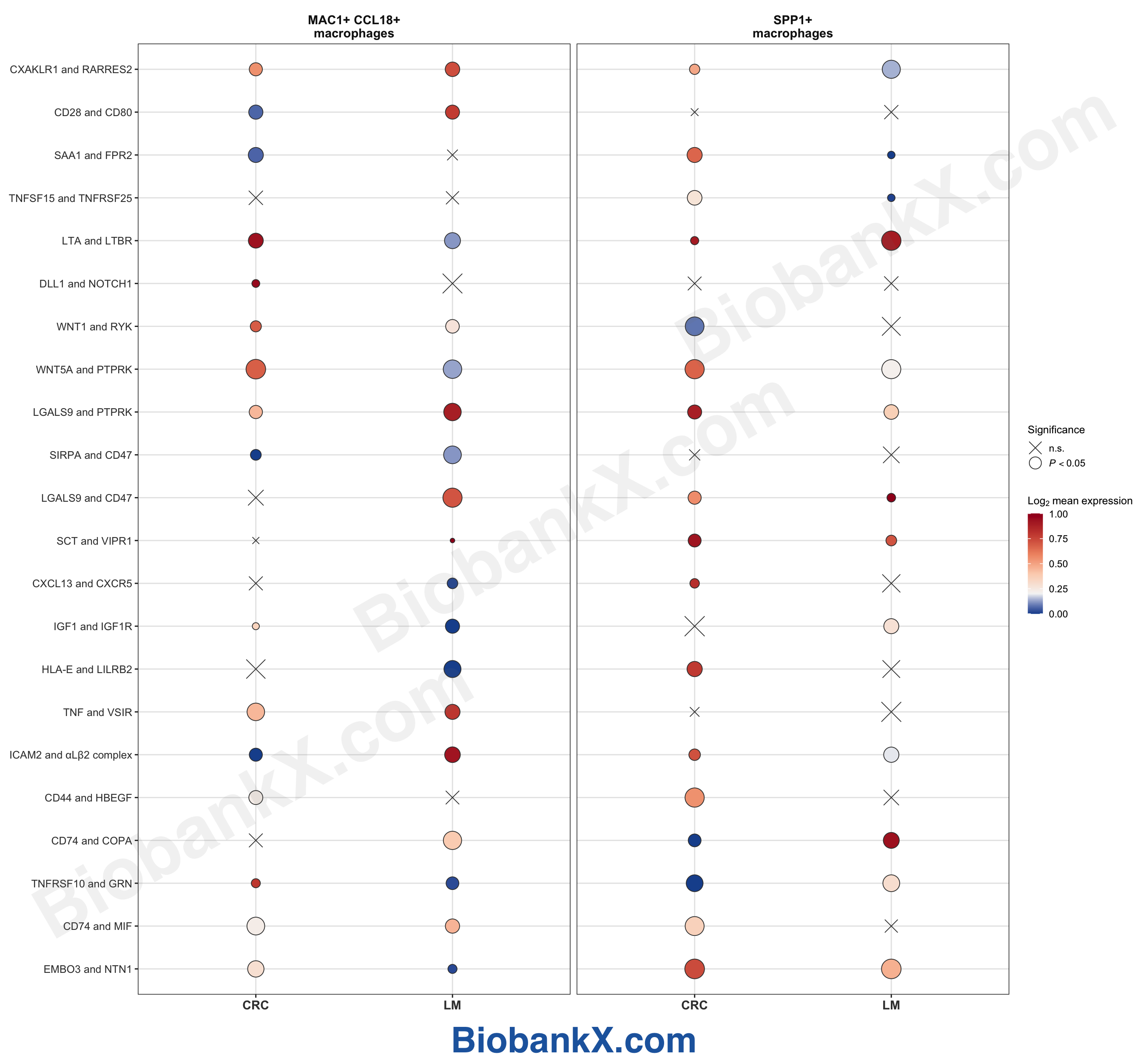 配体-受体 Dot Plot
